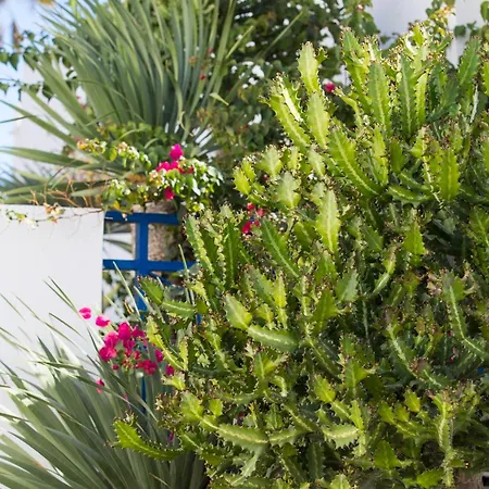 Appartement V&v Amadores *