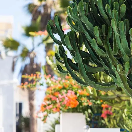 Appartement V&v Amadores