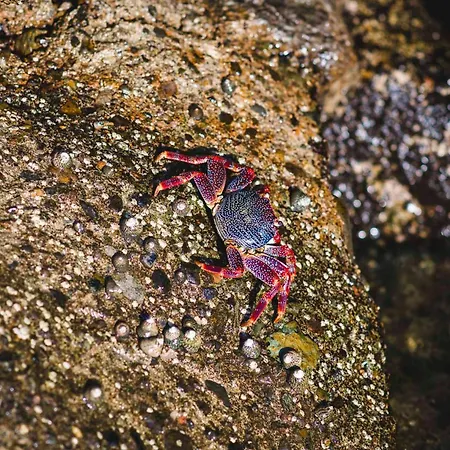 V&v Amadores Appartement *